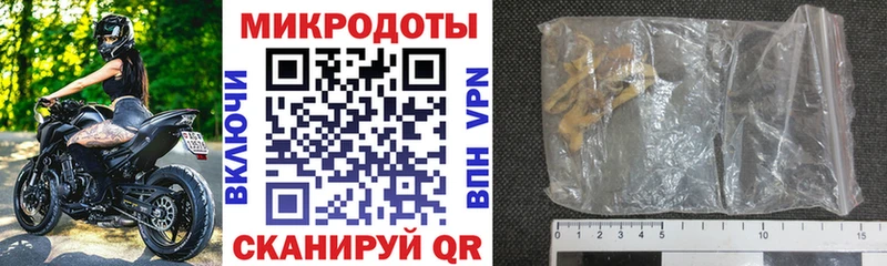 Галлюциногенные грибы Psilocybe  Покачи 